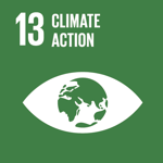 SDG 13