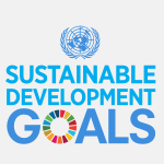 SDG logo