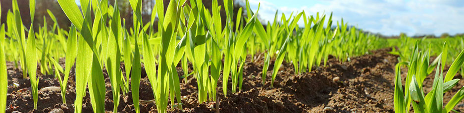 Digital Agriculture banner