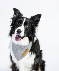 Nordic Bandana