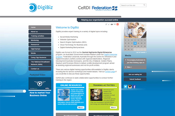 DigiBiz - website