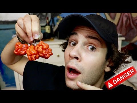 EATING WORLDS HOTTEST PEPPER!! (FREAKOUT)