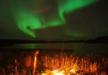 My wife & I went to Tromso, Norway in October 2015 in search of the northern lights. We joined a small tour group on two ...