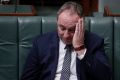 Deputy Prime Minister Barnaby Joyce is under fire for his affair with a member of his staff. 