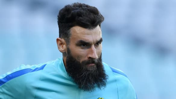 Socceroos' coach yet to speak to Jedinak