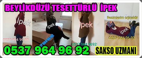 beylikduzu escort