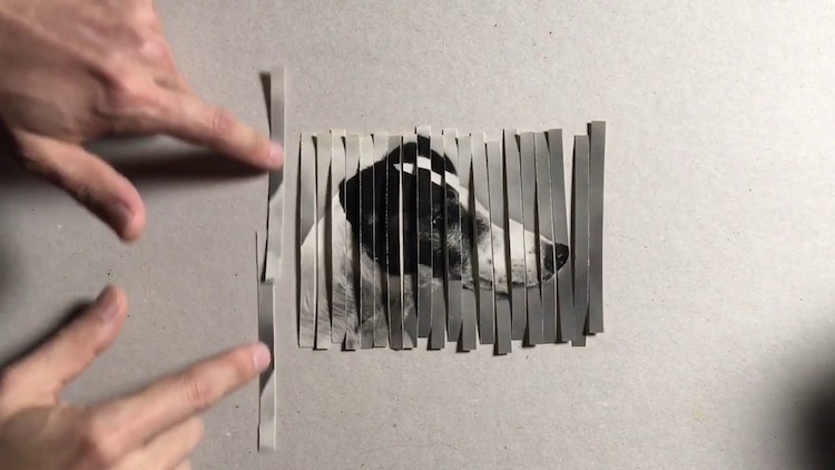 A Clever Collage Shredding Trick That Uses a Hand Cranked Pasta Machine to Duplicate a Photo