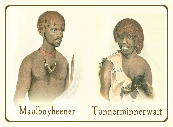 These portraits were painted by Thomas Bock between 1831 and 1835 and published in James Fenton’s History of Tasmania Hobart, 1884