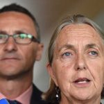 Greens’ direction at stake in attack on Lee Rhiannon and NSW left