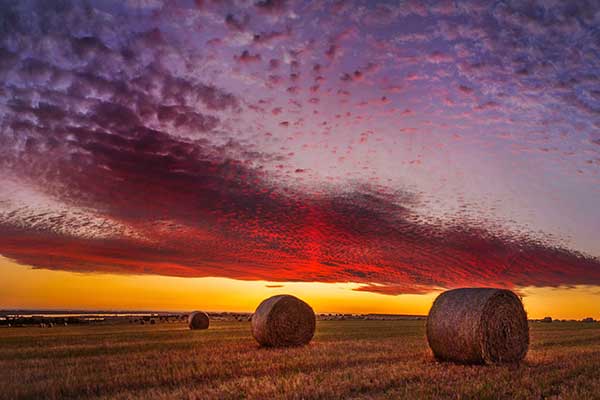 Wimmera Information Portal