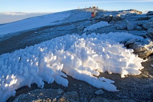 Thousands of hikers aim for the summit of Mt Kilimanjaro every year.