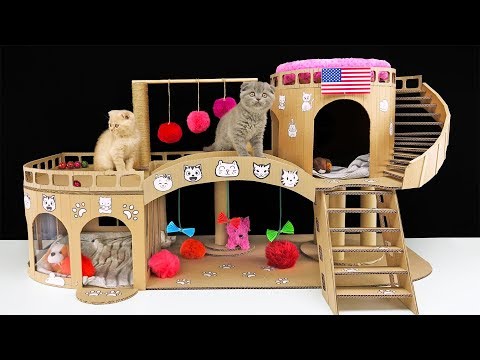 DIY Amazing  Cat House for Two Beautiful Kittens