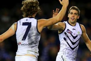 Classy midfielder Stephen Hill is expected to come straight back into the Freo side for its debut at Optus Stadium.