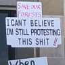 Protesters rally as WA agency plans native forest logging increase