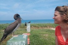 Weather observer meets one of the locals (Supplied: Janet Shelley)