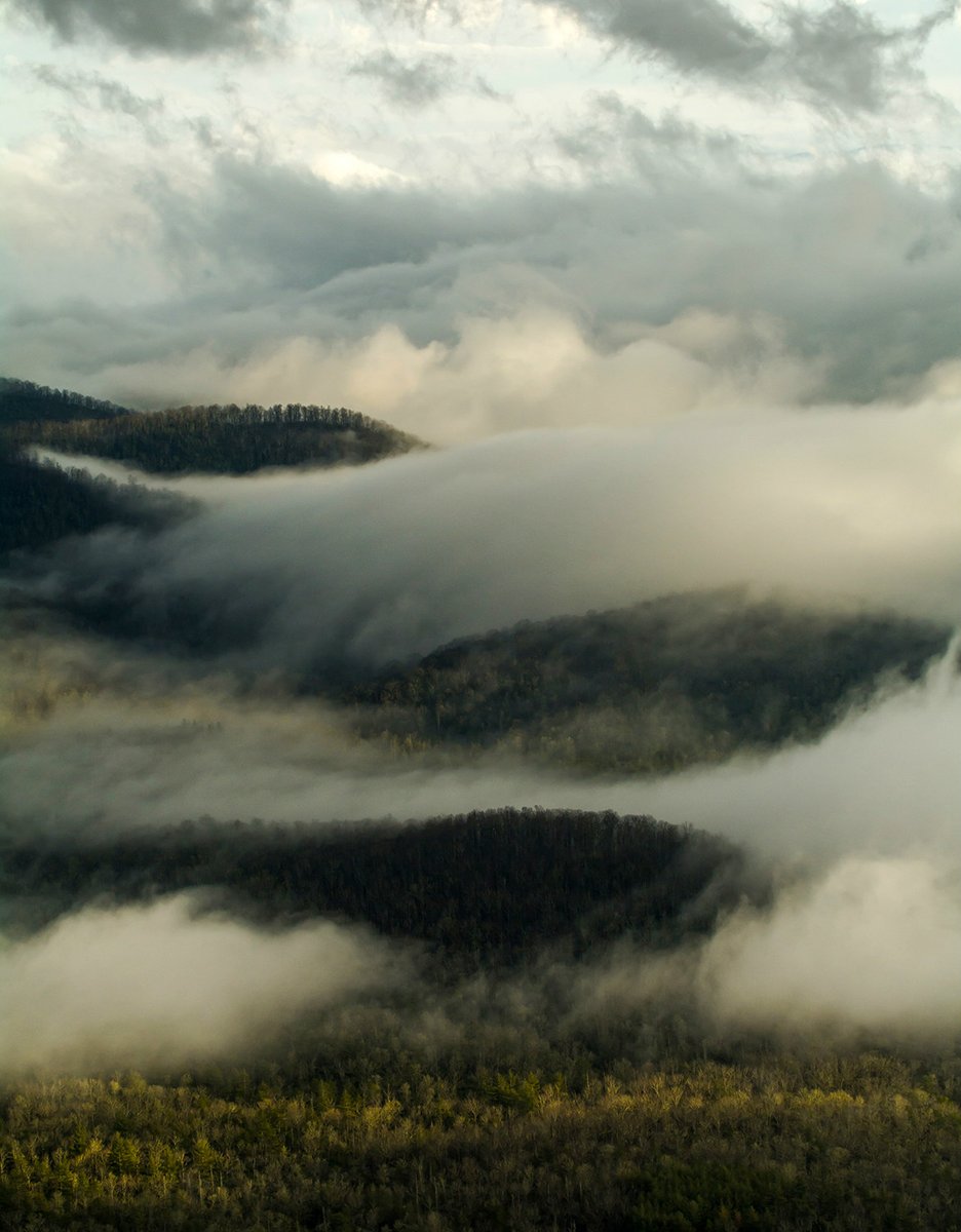 A photo looking down at wispy white clouds filling narrow valleys between green, rolling mountains.