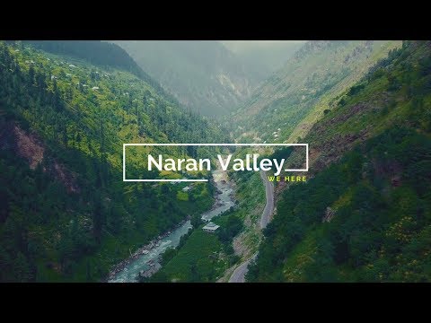 THE JUNEJO GUIDE TO NARAN