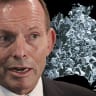 Abbott is wrong about lots of things - but not immigration