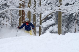 Look ahead: Skiing the tree runs.