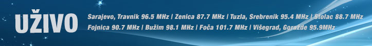 Radio BIR online