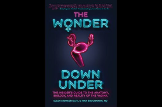 [Photo: The cover of the book The Wonder Down Under A User’s Guide to the Vagina By Nina Brochmann and Ellen Stokken Dahl]