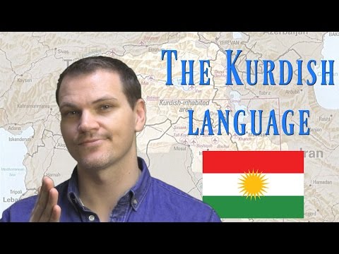 The Kurdish Language