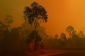 As the fire front approaches an RFS crew assesses the perimeter at Barden Ridge, Sydney. 