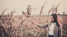 Woman alone in a field. Loneliness. Solitude. Photo: Shutterstock