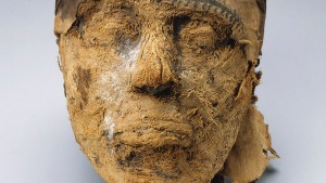 The mummified, severed head of Djehutynakht. 