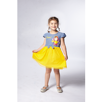 The Wiggles - Chambray With Mesh Layer Dress 