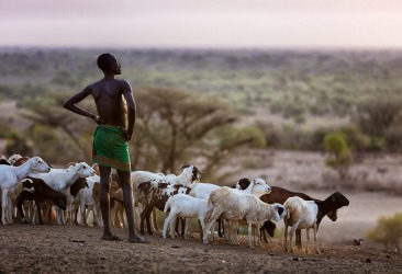 THE ARROGANT POSE OF A KARO WARRIOR WATCHING OVER HIS PRIZED GOAT HERD IN THE LATE AFTERNOON SUN . THIS IMAGE WAS TAKEN ...