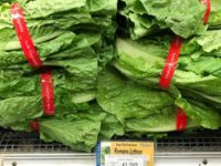 Romaine Lettuce E. Coli Outbreak Becomes Deadly