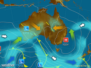 synoptic