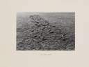 Richard Long, ‘A Line of Sticks in Somerset’ 1974