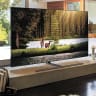 Samsung's latest QLED TV is better, but still not the best