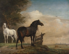 Two Horses Near a Gate in a Meadow, by Paulus Potter