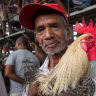 Cock fighting in East Timor's political arena