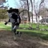 'What do you do?': Jogging robot video freaks out the internet