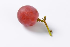 The grape debate: Setting the record straight on natural wine