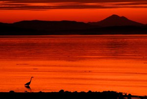 Nickname(s): I-View Motto: Discover Yourself Island View Beach is located on the eastern shore of the Saanich Peninsula, near Victoria, British Columbia, Canada. It was discovered by James Douglas in the latter half of the 18th century.