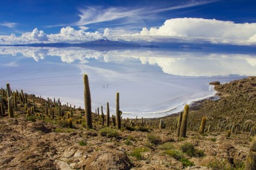 Incahuasi is a hilly and rocky outcrop of land and former island in Bolivia situated in the middle of Salar De Uyuni, ...