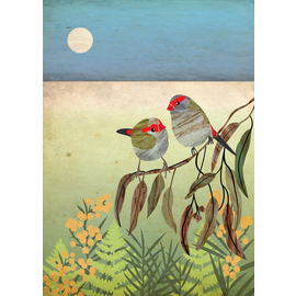 Finch Couple