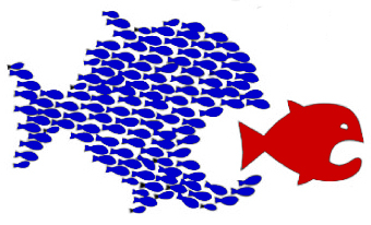 Organize-Fish-eating-fish_NoTEXT_BlueRed.jpg