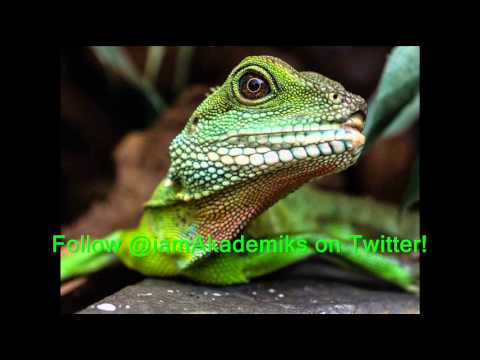 Lizard Squad vs DJ Akademiks (@GDKJordie Love of Chiraq, Sony & Microsoft Takedown)