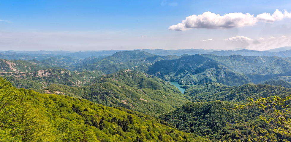 Viaggio nelle foreste dell’Appennino tosco-romagnolo. Tra natura, eremi e concerti nei boschi