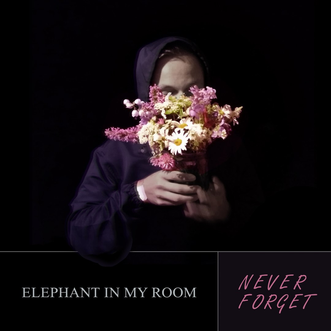 Elephant In My Room - Never Forget [EP] (2017)