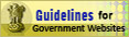 Guidelines for Government Websites