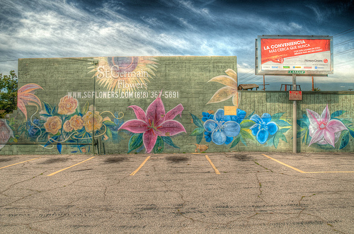 HDR - flowers and a parking lot