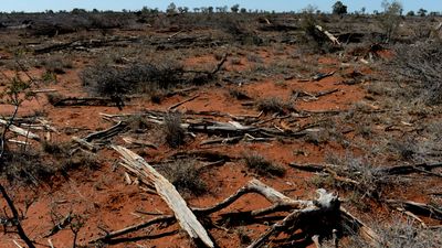 Towns go hot and cold as drought grips NSW