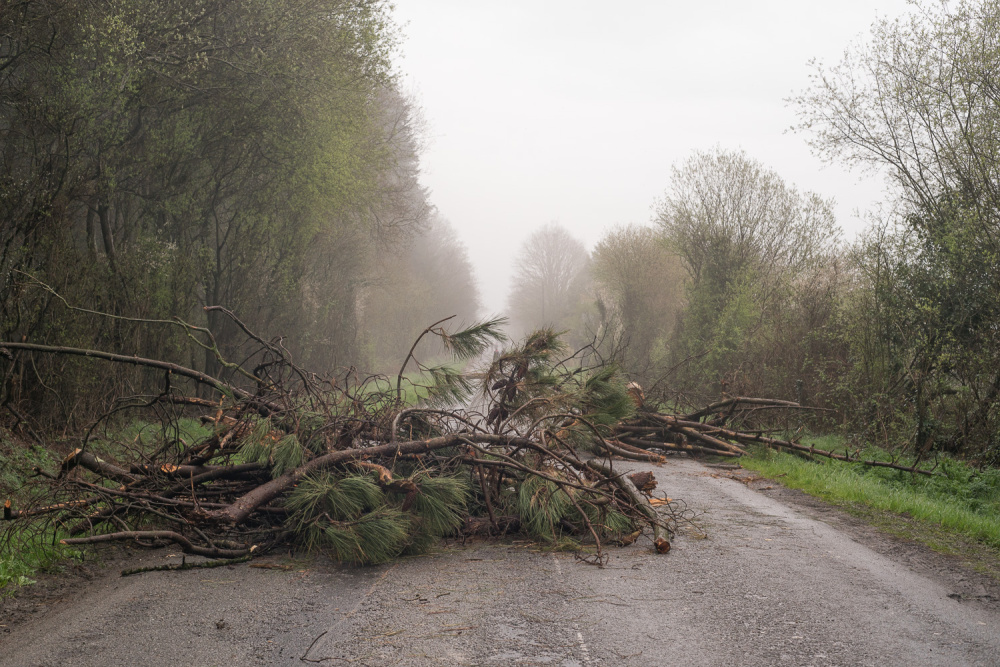 Evictions in ZAD de Notre Dames de Landes, March 2018